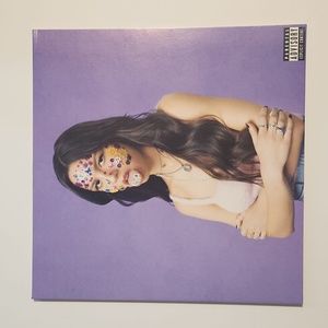 Sour - by Olivia Rodrigo - Vinyl LP in Excellent Condition